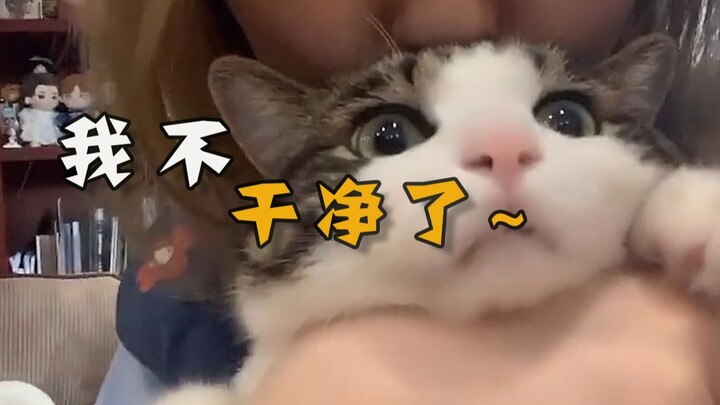 Cat: Stop kissing! If you keep kissing, I’ll go bald.