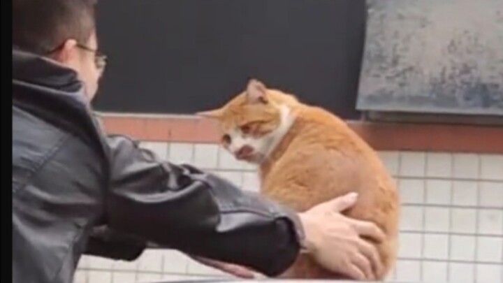 Daju: Kalau kamu ngaco sama aku, pasti ada urusan!