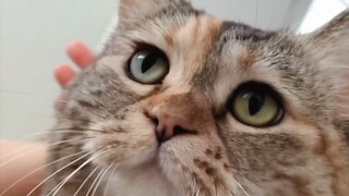 Mom, there's only air left in the bowl!