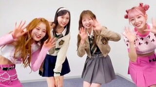意外联动！STAYC x AKB48一起跳开闭歌曲！