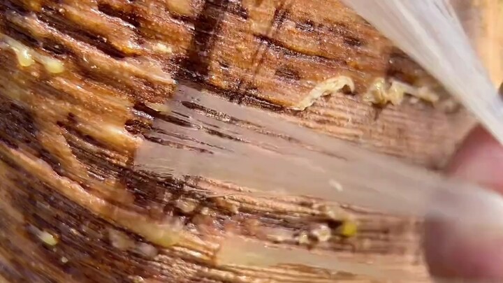 Anda dapat merobek kulit karet dari pohon karet dan membawanya pulang untuk dimasak.