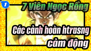 [7 Viên Ngọc Rồng/Bản phối hiệu đính] Các cảnh hoàn htrasng & cảm động_1
