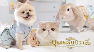 บุพเพสันนิวาส ภาคพิศดาร 🐶🐰🐱