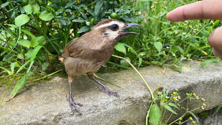 I was actually pretty worried about it, but it’s doing way better than I expected. As soon as it got