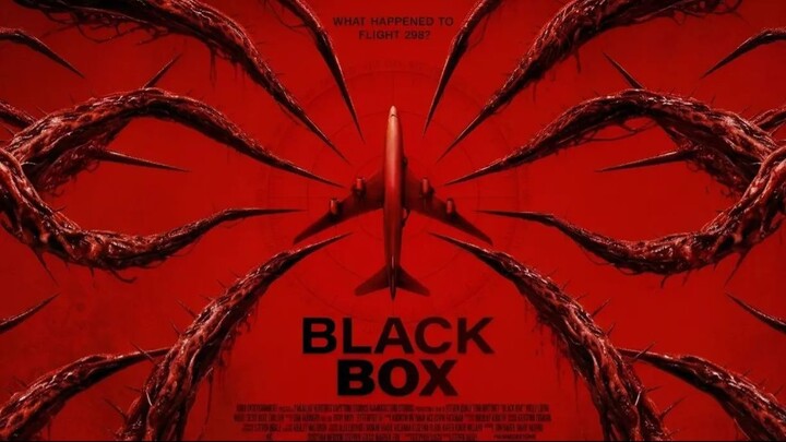 Black Box Flight 298 2026 english subtitles