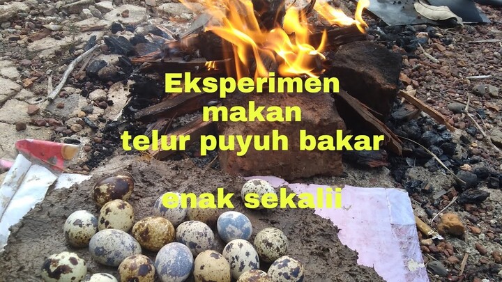 Eksperimen makan telur puyuh bakar