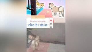 ❤ mèo chó cute foryou