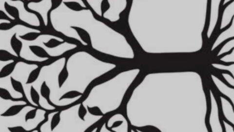 Tree.