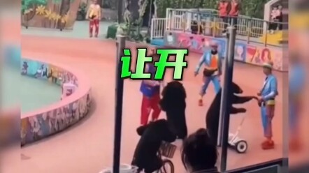 Tương tác follow, nhất định phải trả lời