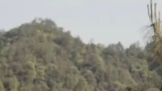 พากย์ไทย ตอน สิบเจ็ด ถึง ยี่สิบสี่