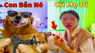 Thú Cưng TV | Gâu Đần và Bà Mẹ #39 | Chó Golden Gâu Đần thông minh vui nhộn | Pets cute smart dog