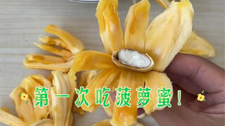 I've tried it for everyone—jackfruit really isn't tasty!