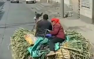 Versi nyata dari “Tenggelam dalam Debu dan Angin”