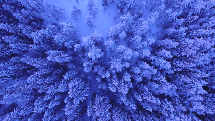 Snowfall Winter   Free Stock Footage   Free HD Video