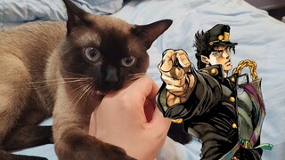 Kirara Motokage