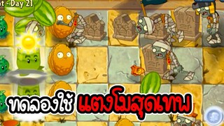 ทดลองใช้แตงโม - Plant vs Zombies 2 #5 [ เกมมือถือ ]
