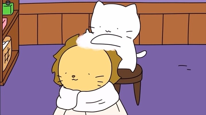 欢迎来到猫猫美容美发店 @hayang