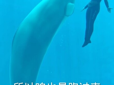 Perjalanan Mimpiku ke Sanya yang Otentik