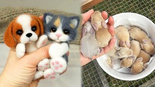 AWW SO CUTE! Cutest baby animals Videos Compilation Cute moment of the Animals - Cutest Animals #13