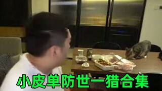 小皮单防世一猎合集！皮特猪护食了
