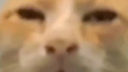 Tao cũng nói giọng địa phương mà!