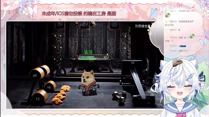 白毛钢板猫猫JK画师看《我（）打钱》被震撼