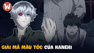 Giải Mã Màu Tóc & Cuộc Đời Bi Thảm của Kaneki