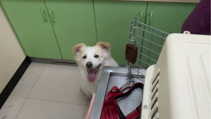 เด็กๆ ทุกคนกลัวการไปโรงพยาบาล แบร์ลาก็เหมือนกัน เธอต้องจับมือเล็กๆ ไว้ถึงจะรู้สึกปลอดภัย