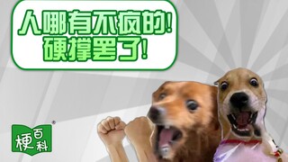 【梗百科】当代大学生的精神状态怎么了？发疯文学再次回归！
