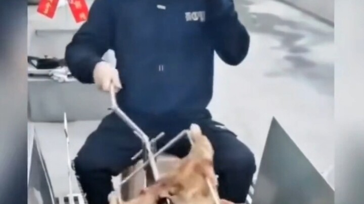 Kasih sayang sejati antar saudara