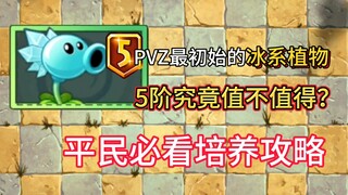 PVZ2：5阶寒冰射手培养攻略！5阶究竟有多厉害？值不值得拿下5阶呢？