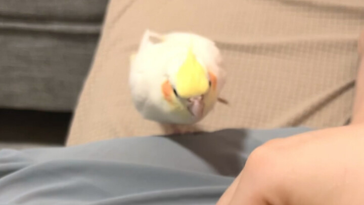 พอเปิดถุงมันฝรั่งทอดกรอบก็ต้องเจอ