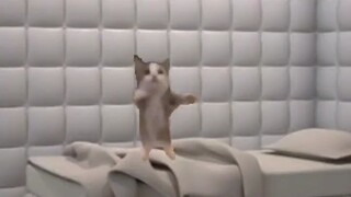 Bad Ending: You Told the Doctor the Truth