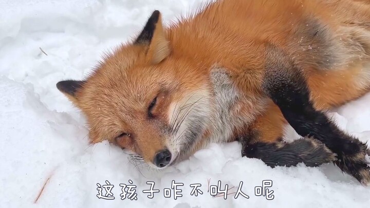 You were having a great time on your own, but then an uncle you can’t stand suddenly shows up.