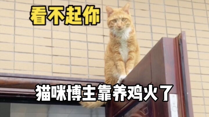 先不说了，我回村学养鸡去