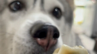 Baiklah, kamu cukup mencicipi rasanya saja