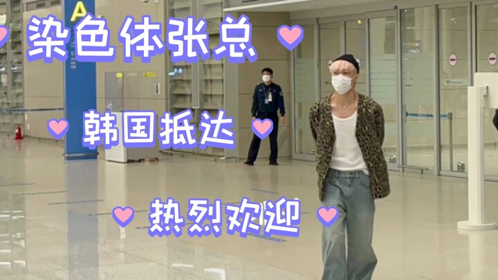 【Zhang Yixing】Tiba di Korea – Kak Zhang cuma santai menyelonong tangan ke belakang, tapi aura tetap 