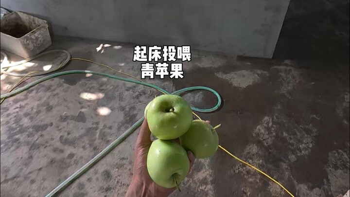 วันที่เศร้าใจ......