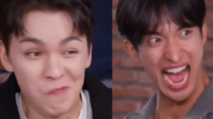 【seventeen】“Chỉ thích những thần tượng có chút bệnh tật”