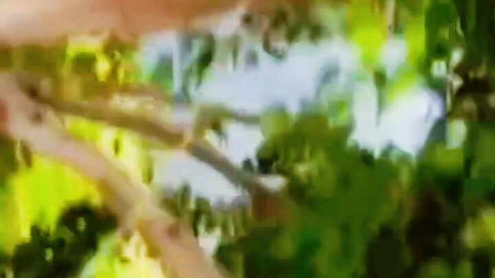 editing video || short video|| manish yadav