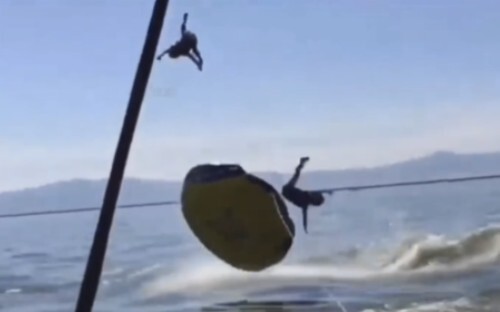 “Đại hội hành vi rối loạn ở động vật 14” – Phần con người: Xin đừng bắt chước❗