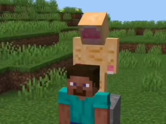 What happens when Minecraft incorporates cerebellar ablation surgery!?