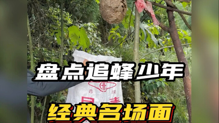 مشهد شهير من مسلسل «فتى مطاردة النحل»: هذه الحركة لا يقدر عليها أحد! #فتى_مطاردة_النحل_وانغ_تشان #ال