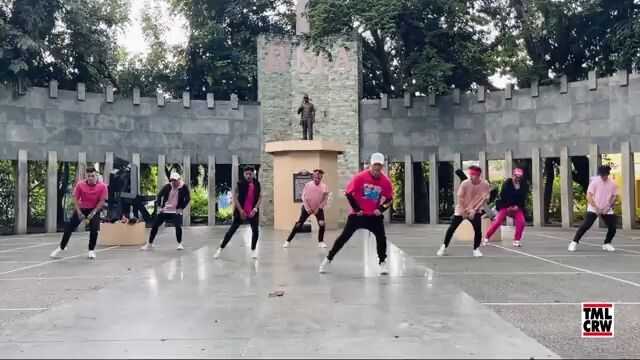 Pink Venom ( Zumba Dance )