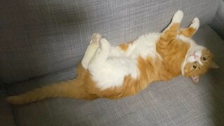 ماذا قالت العمة جيانغ لتجعل الممثلة الصغيرة مي تغير ملامحها في لحظة؟