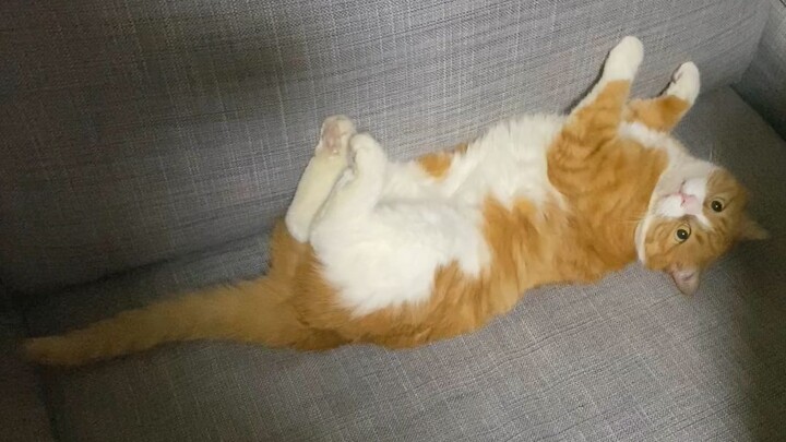 ماذا قالت العمة جيانغ لتجعل الممثلة الصغيرة مي تغير ملامحها في لحظة؟