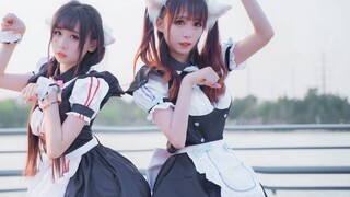 Emisi gelombang radio kucing (oﾟ▽ﾟ)ノbiubiubiu