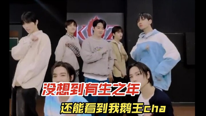 （都暻秀）起猛了缓一下，哦莫哦莫鹅王的cha，自家都没看Cha过，没想到有生之年还能看到我鹅王cha