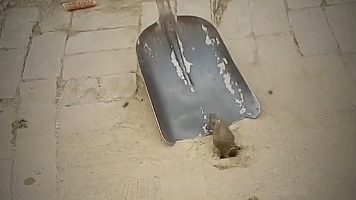 “ไม่มีใครเป็นคำโกหกของคุณ”