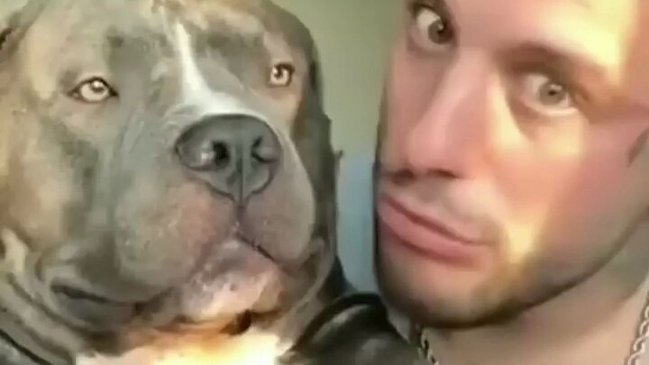 I finally understand why dogs take after their owners—after a gloomy dog met a kind owner, it became